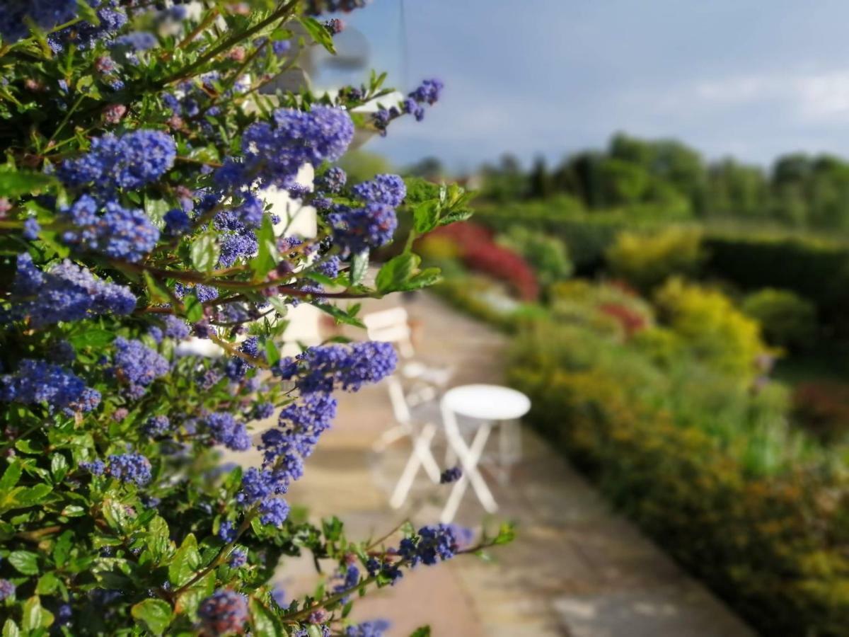 הוקהרסט Meadow Cottage Bed & Breakfast מראה חיצוני תמונה